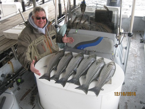 Nice Striped Bass